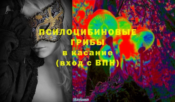 PSILOCYBIN Вязьма